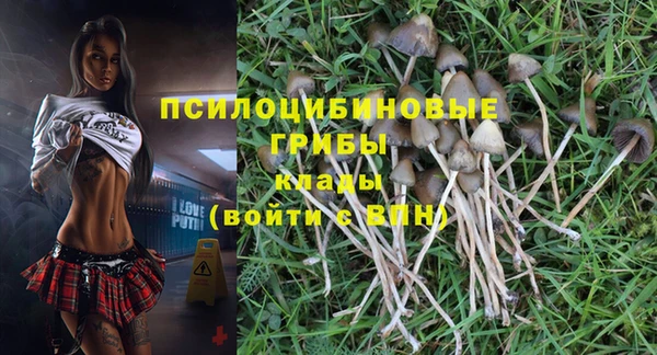 соль курить ск Алексин