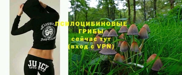 соль курить ск Алексин