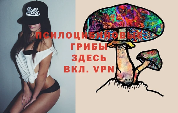 марки lsd Алексеевка